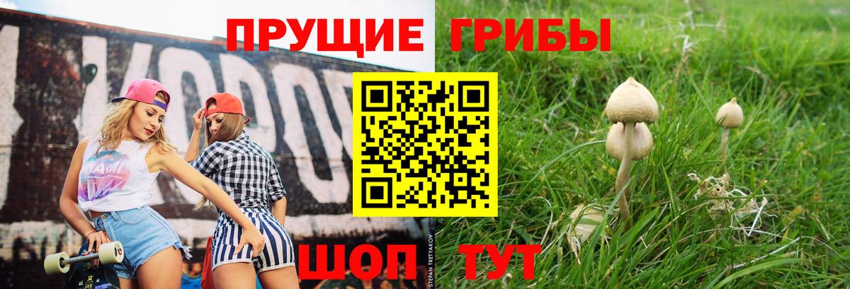 Псилоцибиновые грибы GOLDEN TEACHER Старая Купавна